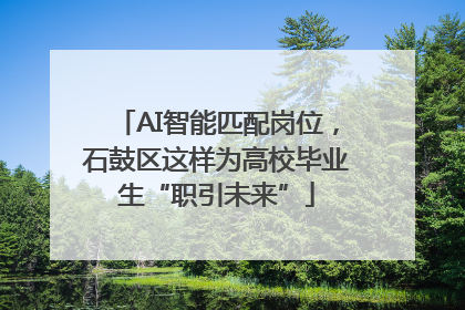 AI智能匹配岗位，石鼓区这样为高校毕业生“职引未来”