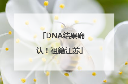 DNA结果确认！祖籍江苏