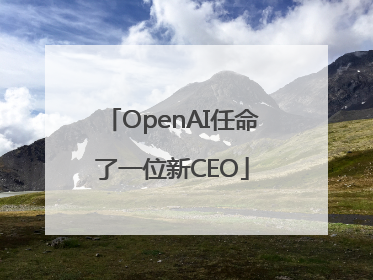 OpenAI任命了一位新CEO